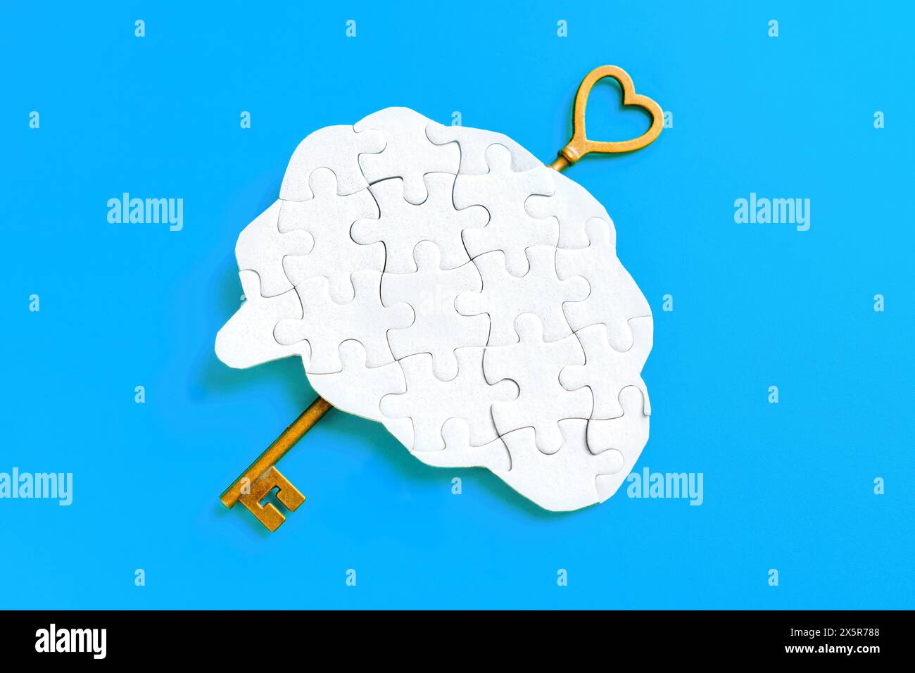 Langer Schlüssel, der in ein menschliches Gehirn-förmiges Puzzle auf blauem Hintergrund eingefügt wird, symbolisiert die Entfaltung von Potenzial und Wissen. Stockfoto