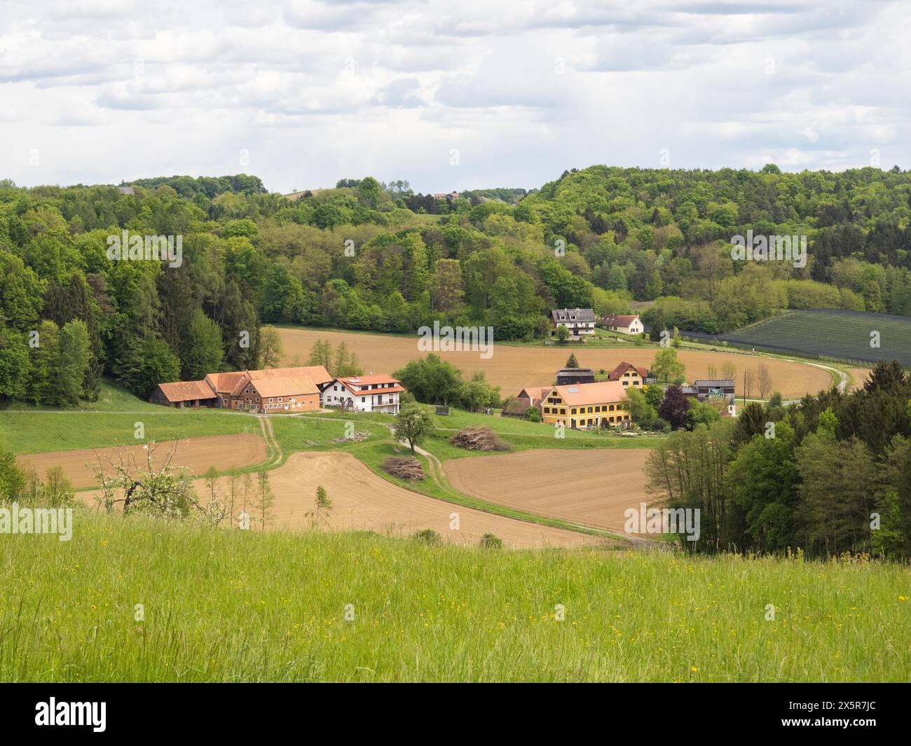 Bauernhöfe, Ackerland, Wiesen und Wald, östliche Vulkanregion Steiermark, bei Riegersburg, Steiermark, Österreich Stockfoto