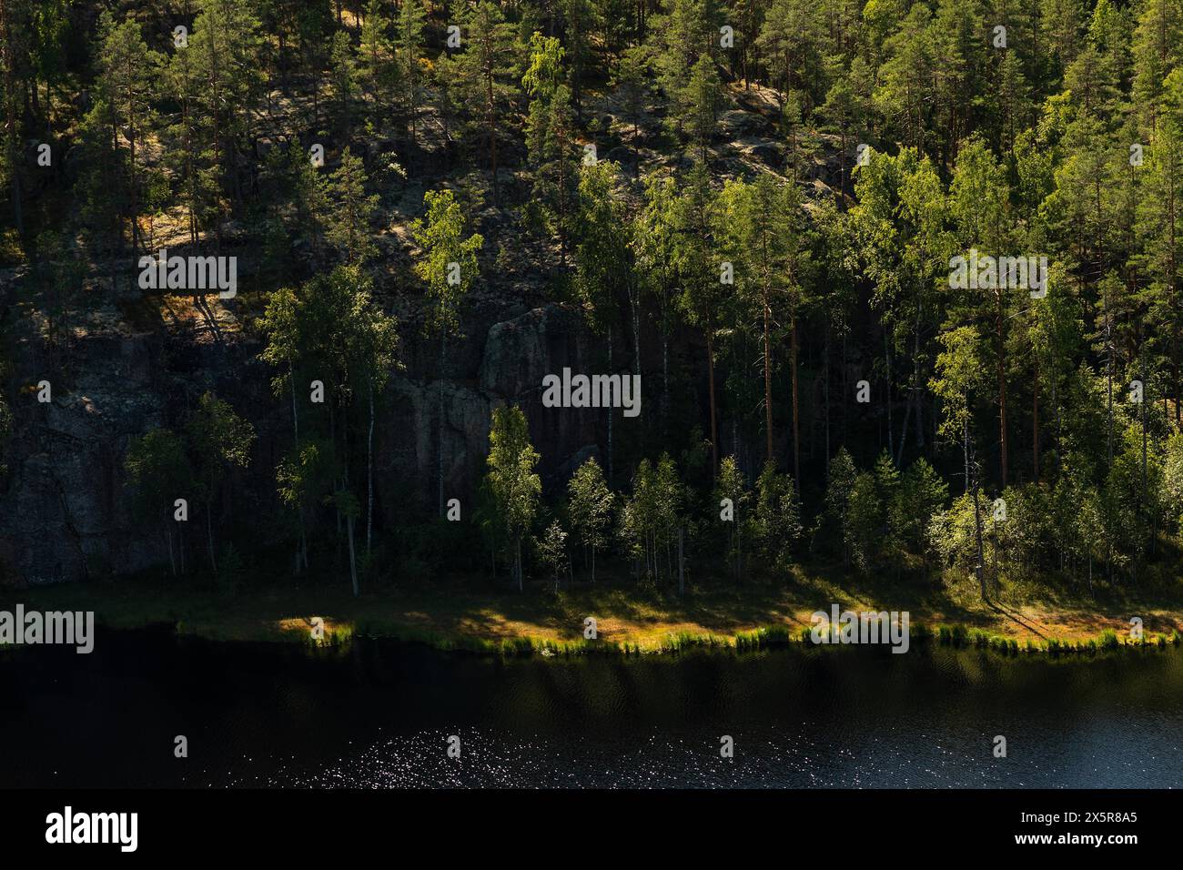 See im Wald, Isojaervi Nationalpark, Finnland Stockfoto