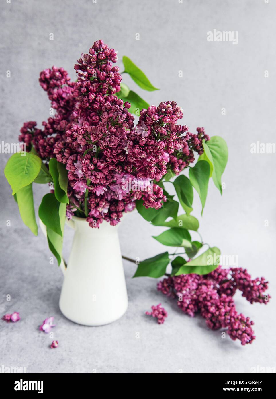 Ein Haufen lilafarbener Blüten in einer Vase Stockfoto