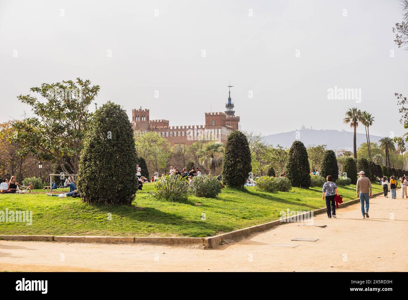 Personen, die ihre Freizeit bei Sonnenschein im Parc de La Ciutadella verbringen, Barcelona, Spanien Barcelona Katalonien Spanien *** Menschen, die Ausgaben Stockfoto