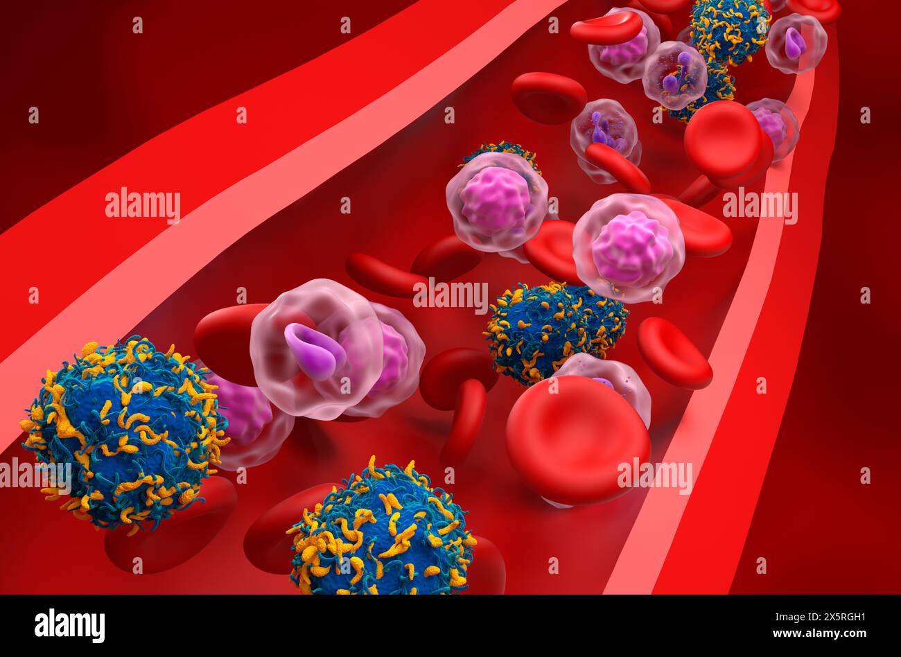 AUTO-T-Zellen – Nahaufnahme 3D-Abbildung Stockfoto