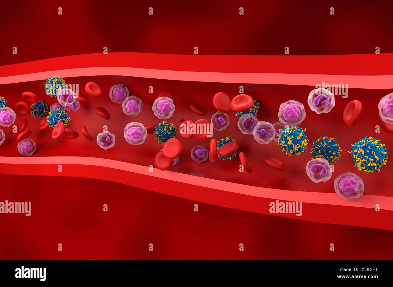 AUTO-T-Zellen – isometrische 3D-Darstellung Stockfoto