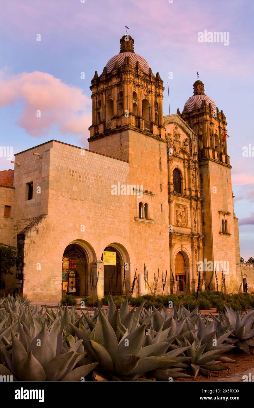 Oaxaca; Mexiko; Nordamerika. Kirche von Santo Domingo, erbaut 1570–1608, Agave wächst davor. Stockfoto