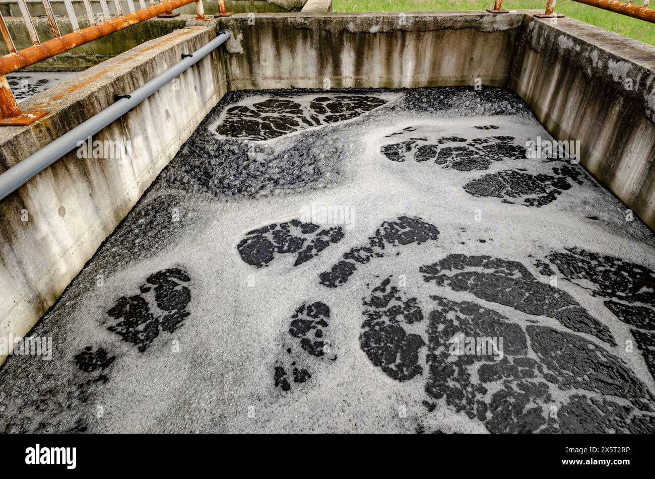 Sortieren von Behälterbecken an einer Hauswasseraufbereitungs- und -Aufbereitungsstation Stockfoto