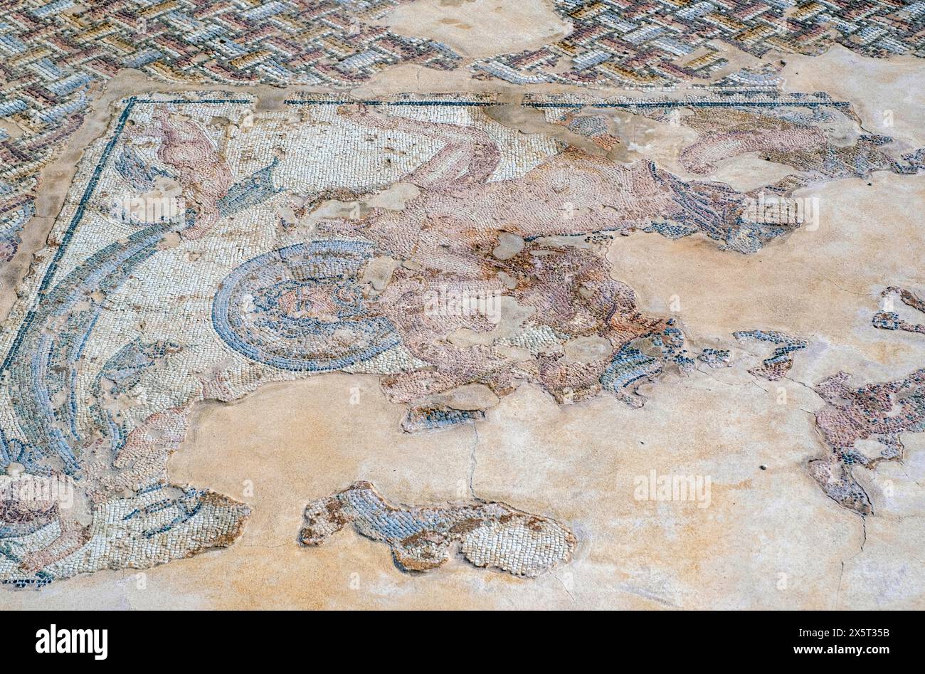 Römisches Bodenmosaik, Haus des Theseus, Paphos Archäologischer Park, Zypern Stockfoto