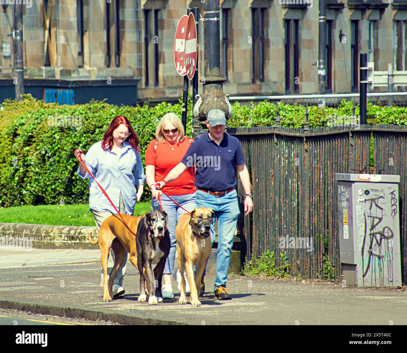 Glasgow, Schottland, Großbritannien. 11. Mai 2024: Wetter in Großbritannien: Sonniger Kelvingrove Park für Einheimische und Touristen im grünen westlichen Ende der Stadt, wenn die Temperaturen auf das Sommerniveau steigen. Credit Gerard Ferry/Alamy Live News Stockfoto