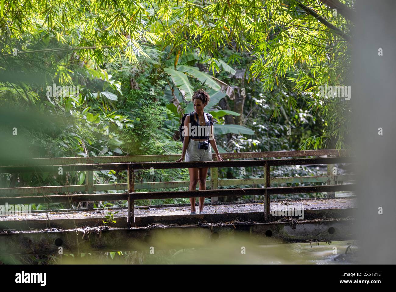 Indonesien, Bali, weibliche Touristen stehen auf der Fußgängerbrücke im Regenwald Stockfoto