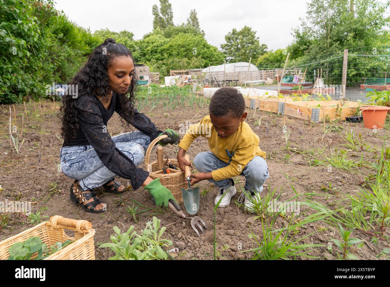 Mutter-Sohn-Gärtnerei im Kleingartenbetrieb Stockfoto