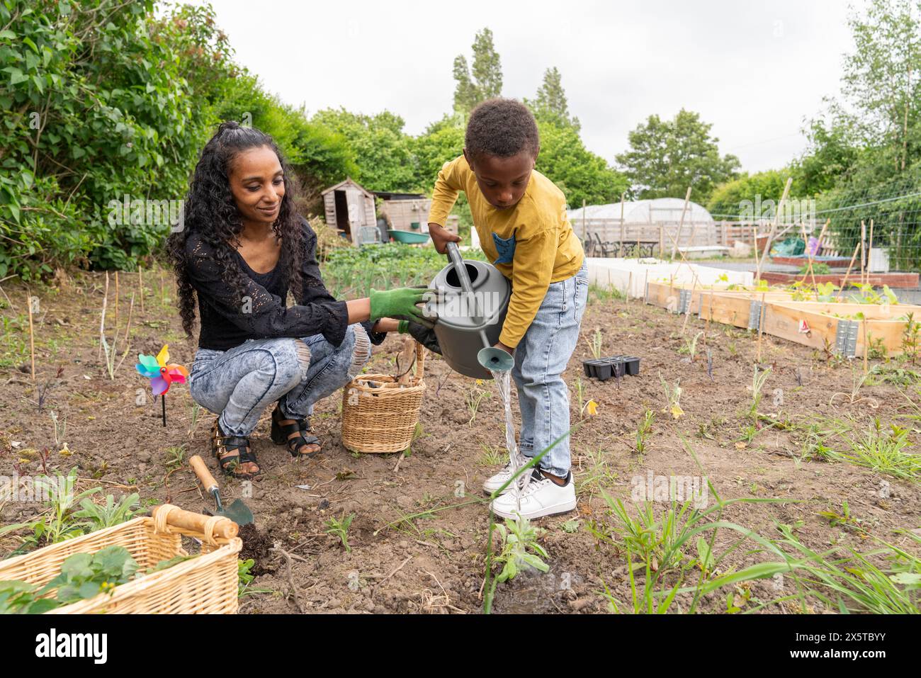 Mutter-Sohn-Gießpflanzen in Kleingartenanlage Stockfoto