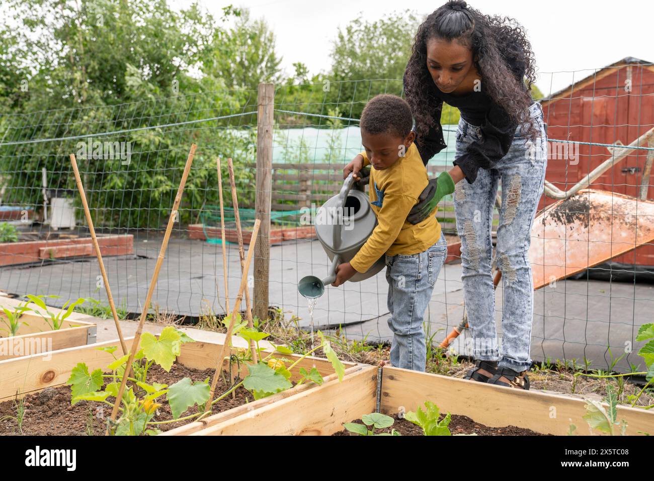 Mutter-Sohn-Gießpflanzen in Kleingartenanlage Stockfoto