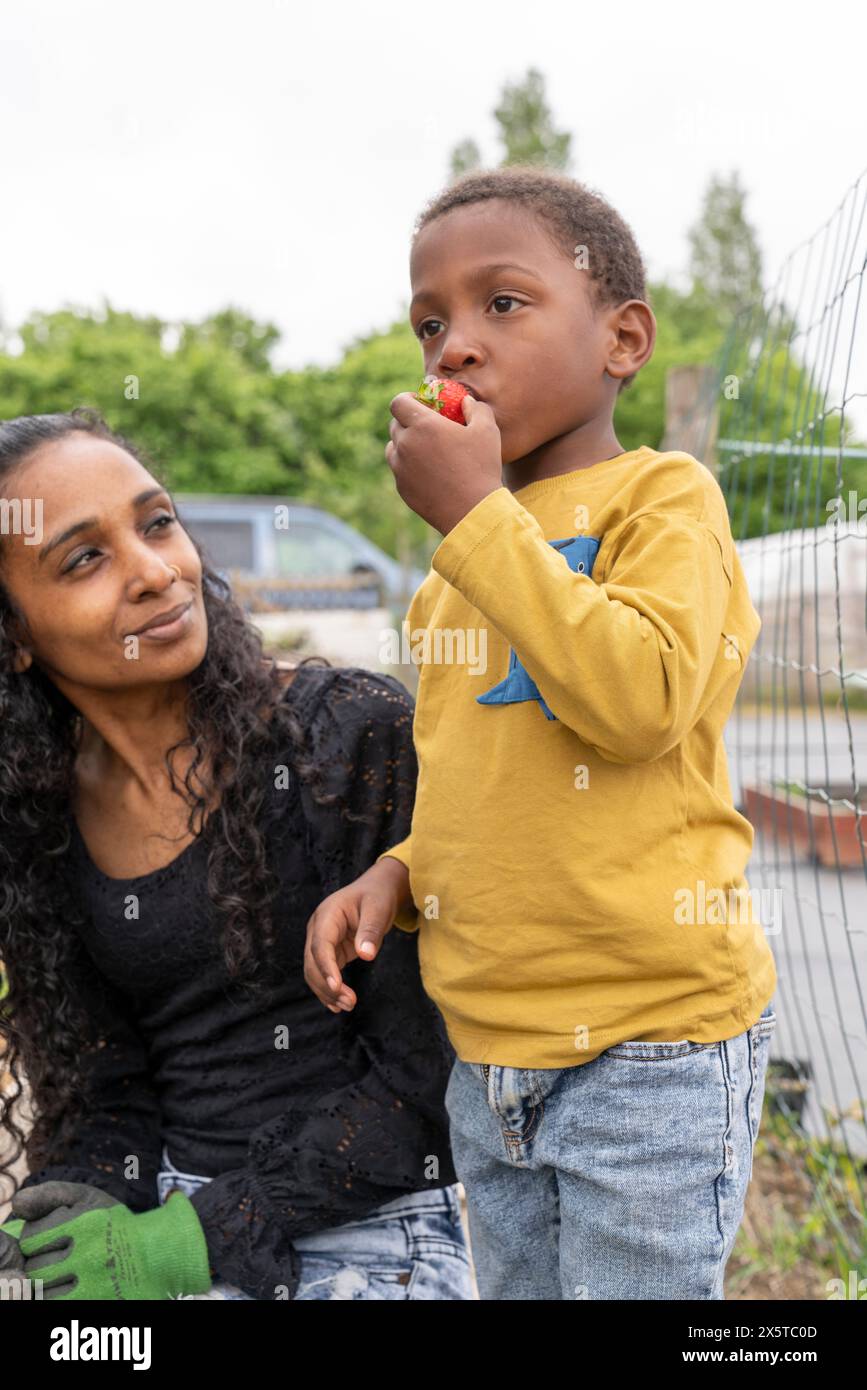 Mutter, die den Sohn ansieht, der frische Erdbeeren isst Stockfoto