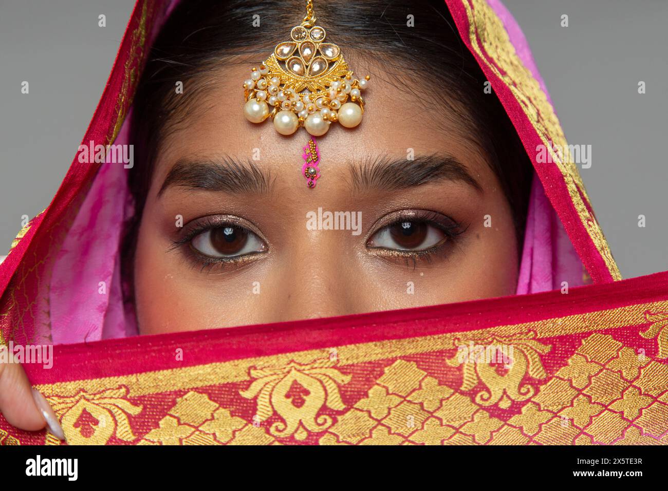Nahaufnahme einer Frau, die Sari und Goldschmuck trägt Stockfoto