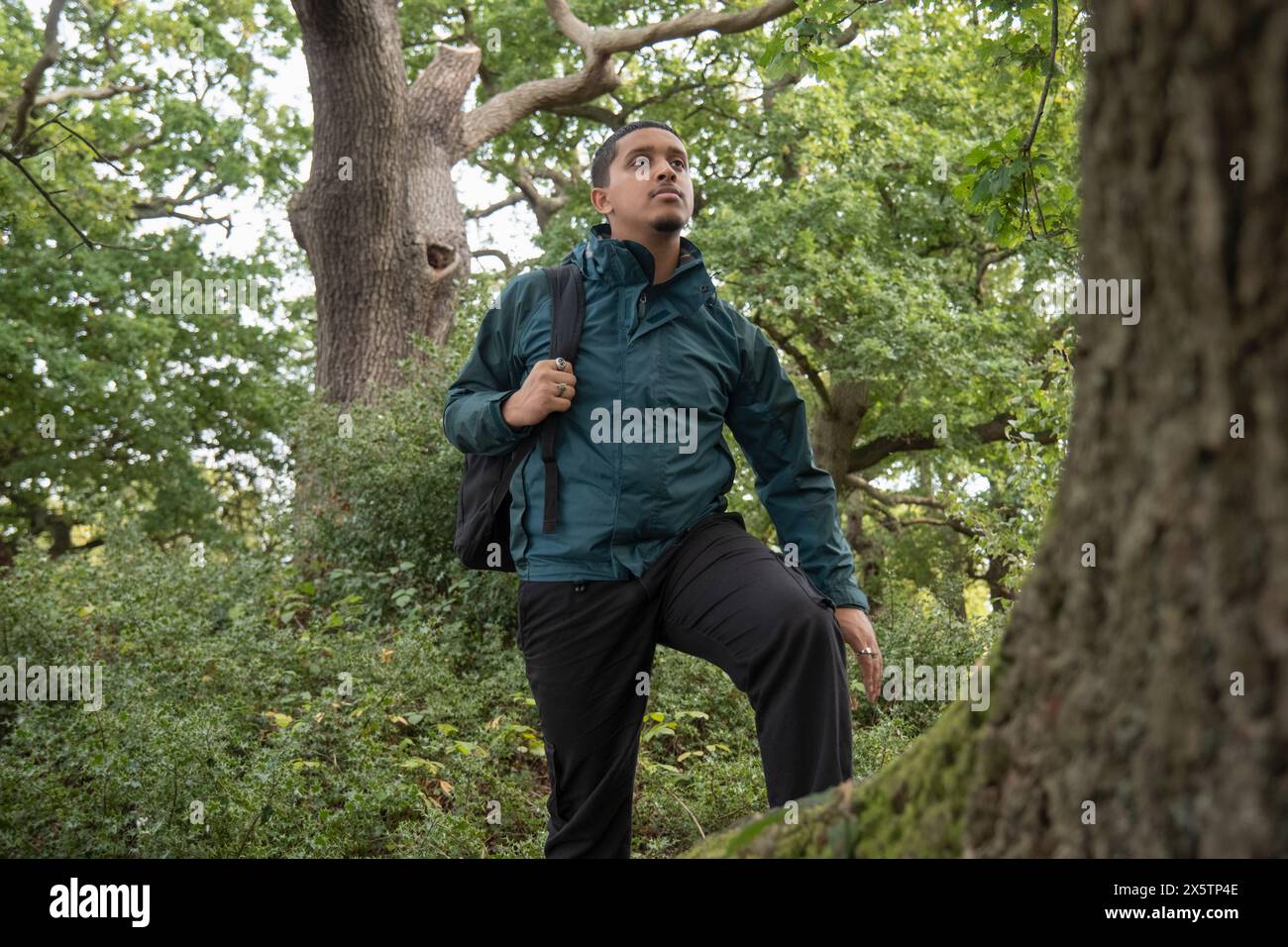 Mann mit Rucksack Wandern im Wald Stockfoto
