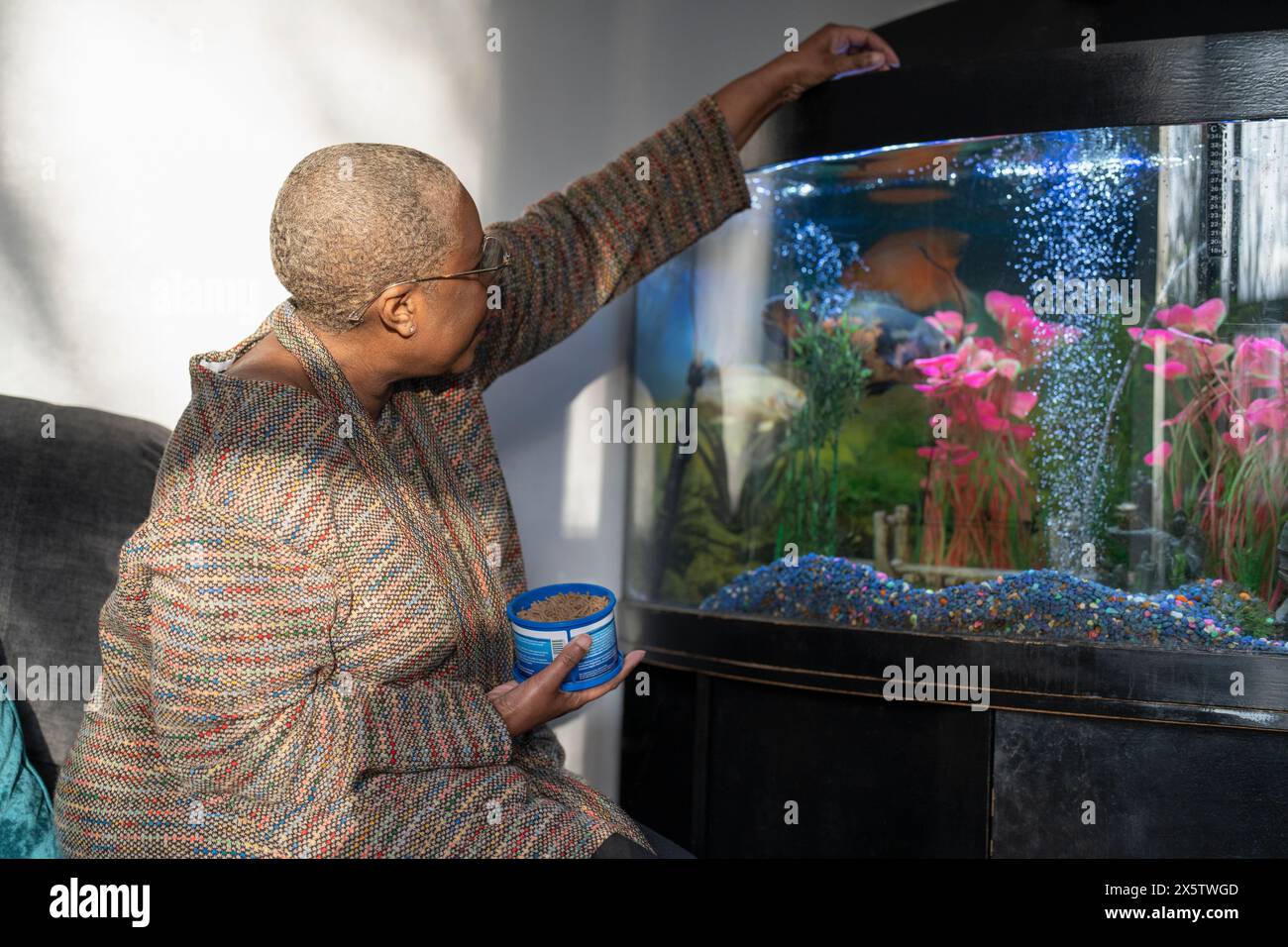 Reife Frau, die Fische im Aquarium füttert Stockfoto