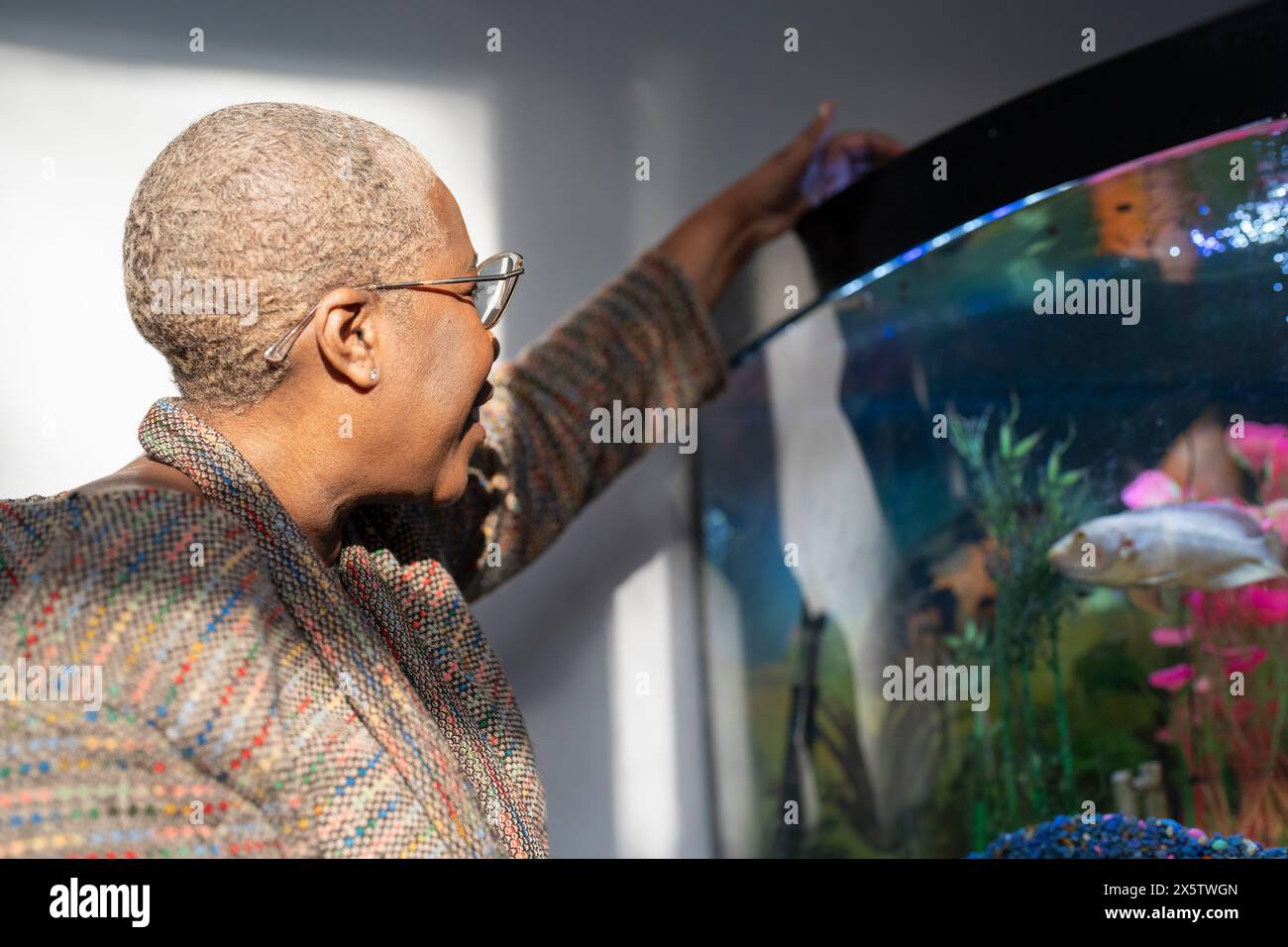 Reife Frau, die Fische im Aquarium füttert Stockfoto