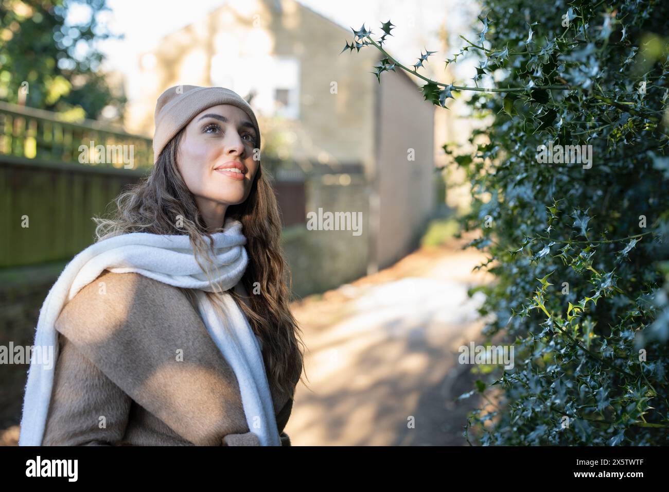 Frau in Winterkleidung, die auf die Blätter der Bäume blickt Stockfoto Frau in Winterkleidung, die auf die Blätter der Bäume blickt Stockfoto