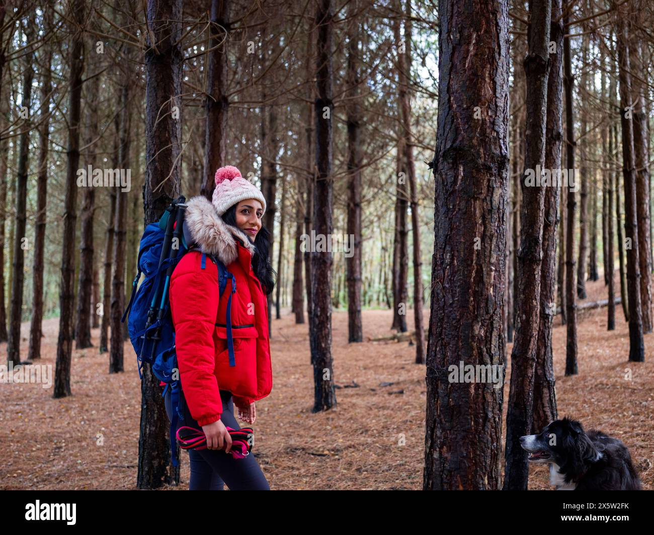 Weibliche Backpackerin, die mit Hund im Wald wandert Stockfoto