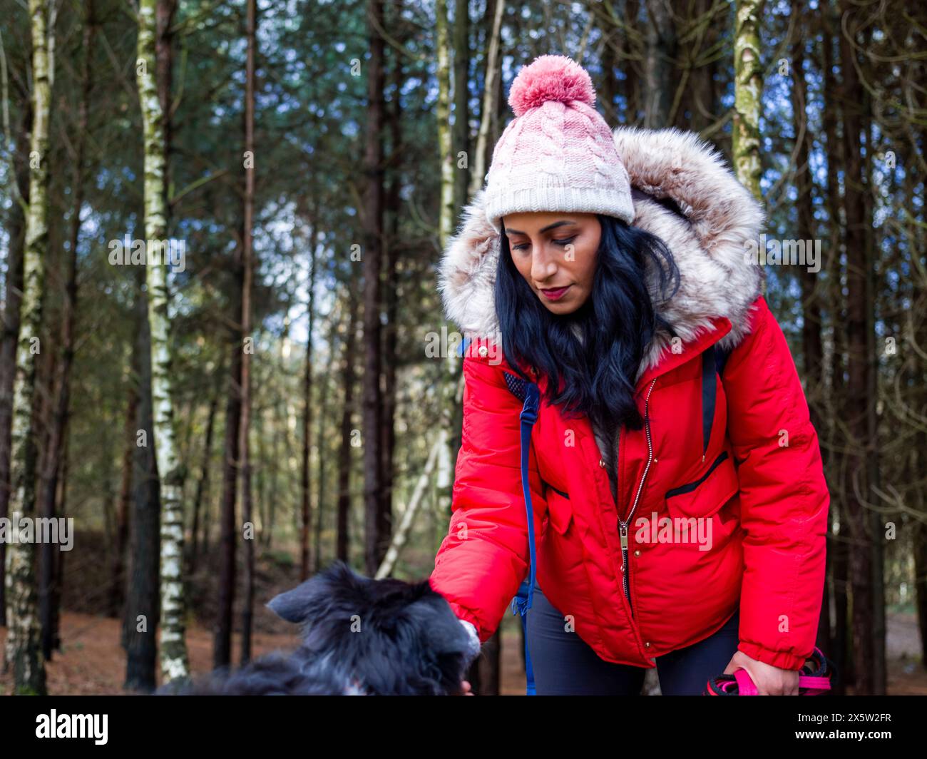 Frau wandert mit Hund im Wald Stockfoto