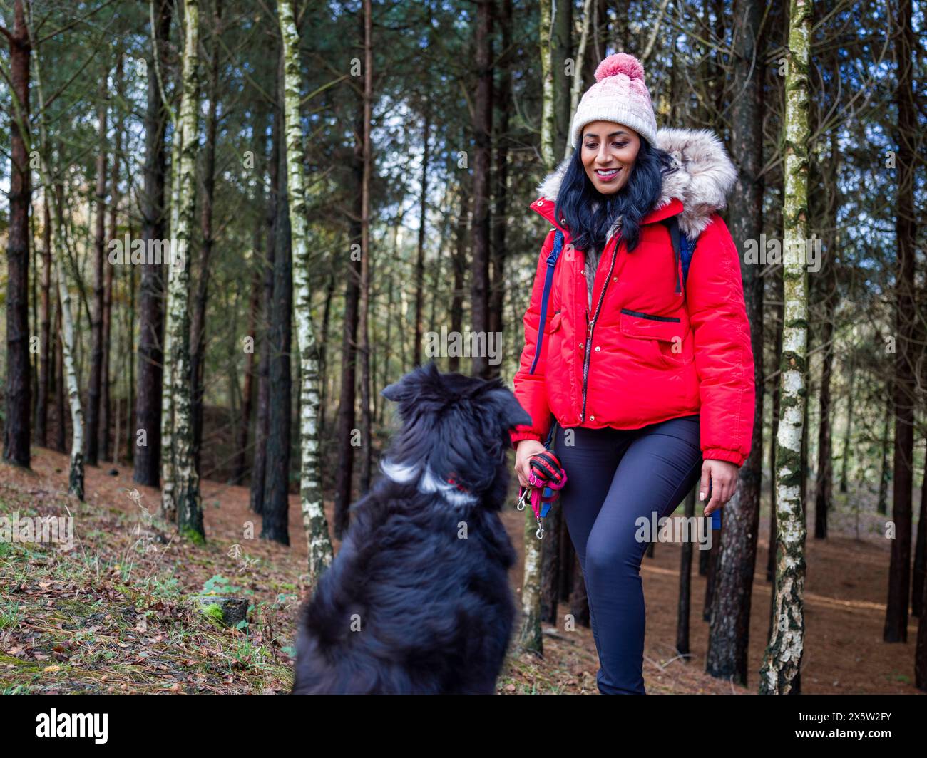 Frau wandert mit Hund im Wald Stockfoto