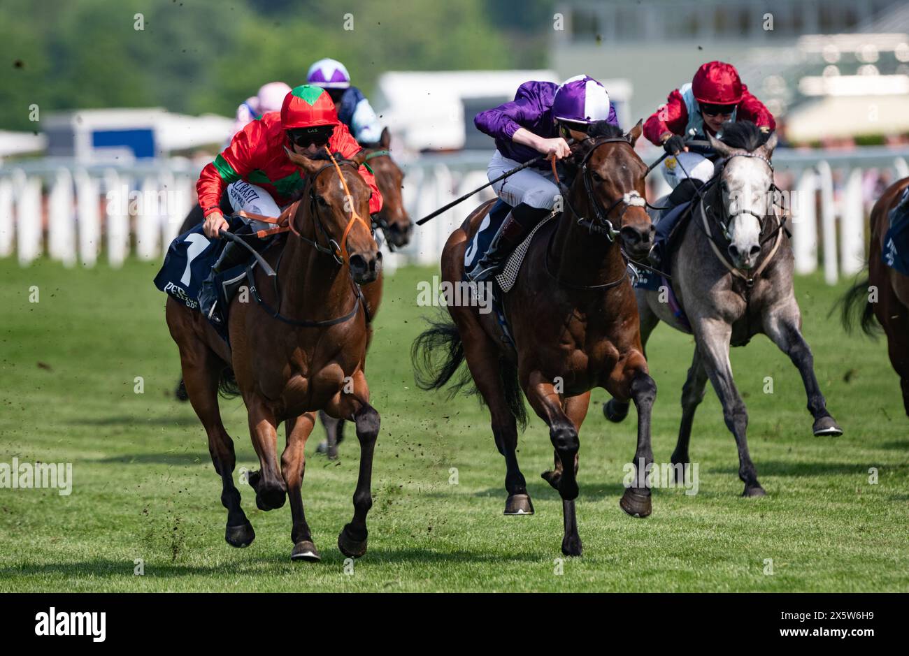 Ascot, Vereinigtes Königreich , Samstag, 11. Mai 2024. Xanthe und Pat Dobbs gewinnen die Peroni Nastro Azzurro 0,0% Einsteiger für Trainer Richard Hannon und Besitzerin Mrs. J. Wood. Credit JTW equine Images / Alamy Live News Stockfoto