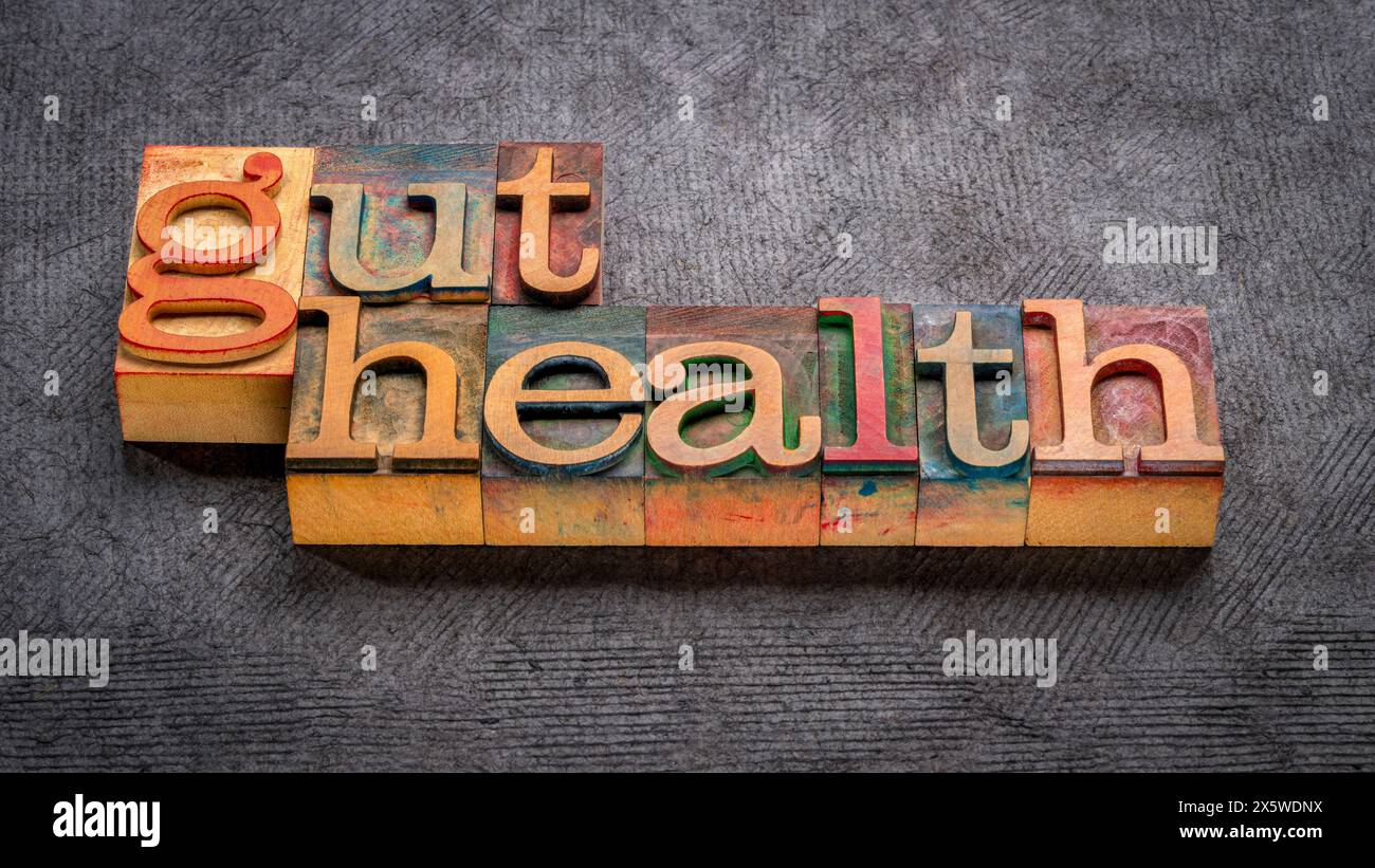 Darmgesundheit - Wortabstrakt in Vintage-Buchdruck-Holzdruckblöcken, Verdauungsgesundheitskonzept Stockfoto