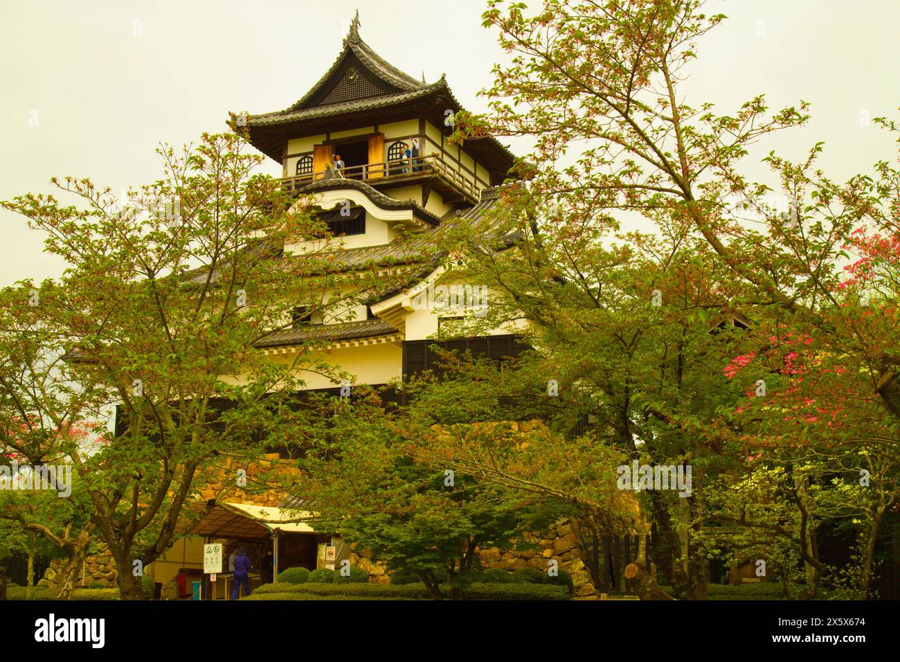 Japan, Inuyama, Burg, Stockfoto