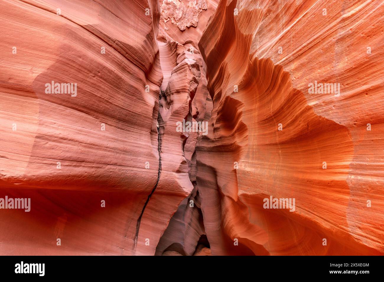 Wirbelmuster an den Sandsteinwänden von Schlitzschluchten in Arizona entstehen aufgrund der weichen Gesteinszusammensetzung aus jahrelangen Wind- und Wasserströmungsmustern. Stockfoto