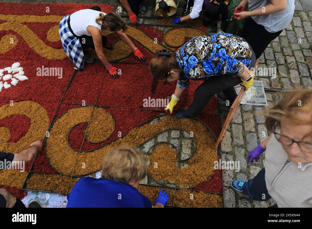 Caminha, Portugal - 08. Juni 2023: Gruppe lokaler Handwerker, die im Rahmen der jährlichen religiösen Fronleichnamsfeier einen „floralen Teppich“ erstellen Stockfoto