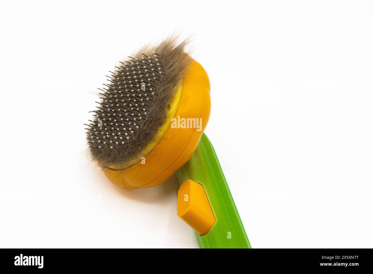 Katzenhaarbürste mit Katzenhaar drauf. Tierfell klebt an der Pelzbürste Stockfoto