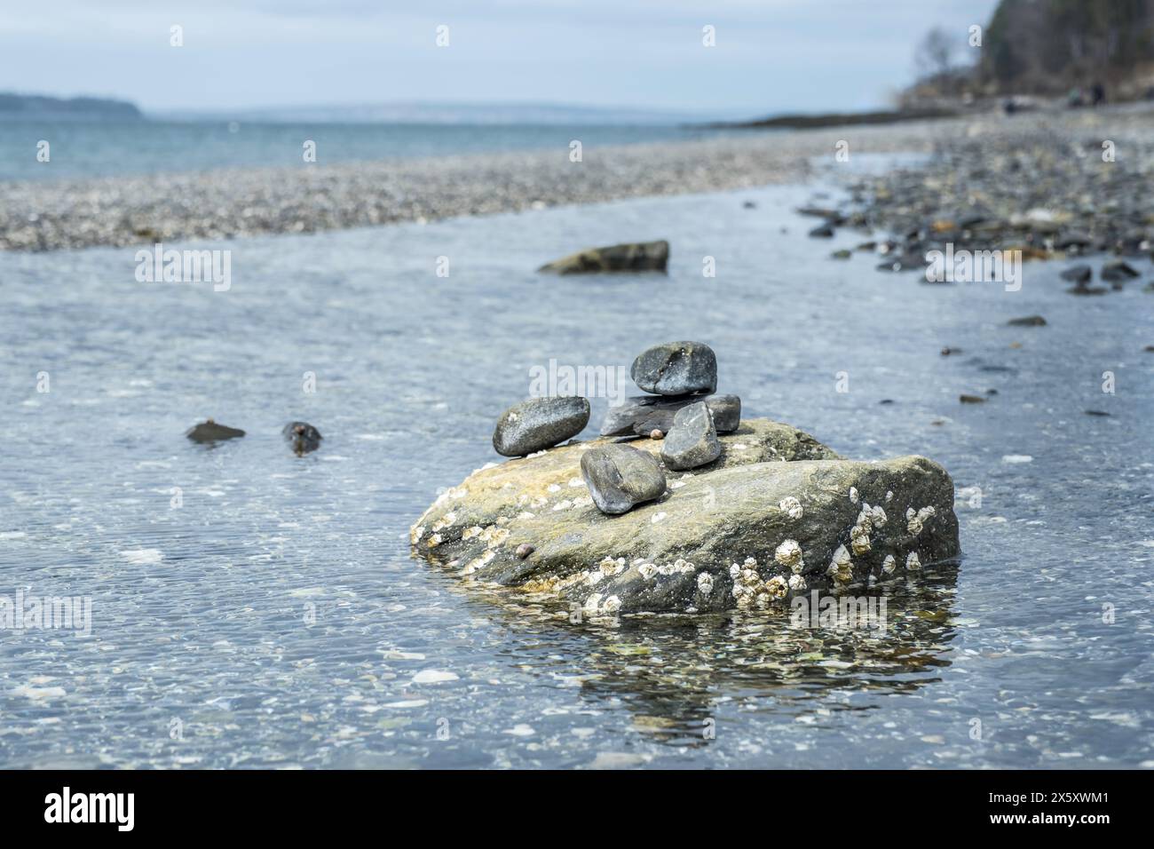 Erkunden Sie die Welt der Felsen und Barnacles Stockfoto