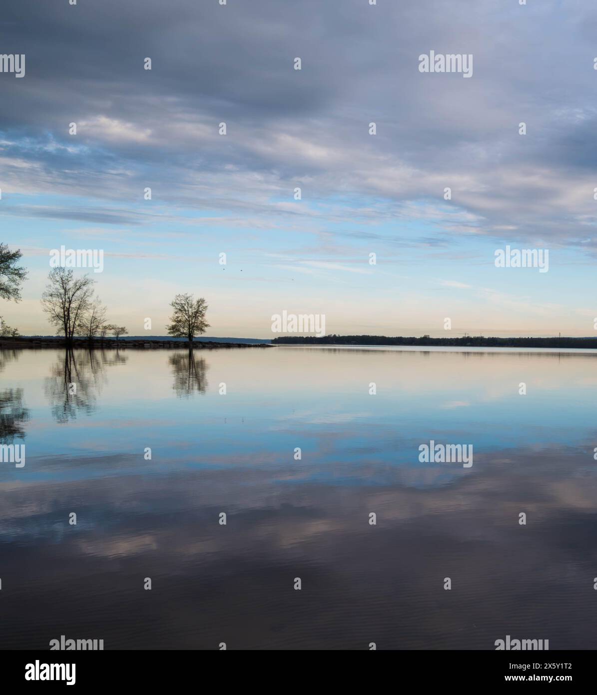 Spiegelähnliche Reflexionen in der Dämmerung: Ruhige Bäume und sanfter Himmel über stillen Gewässern Stockfoto