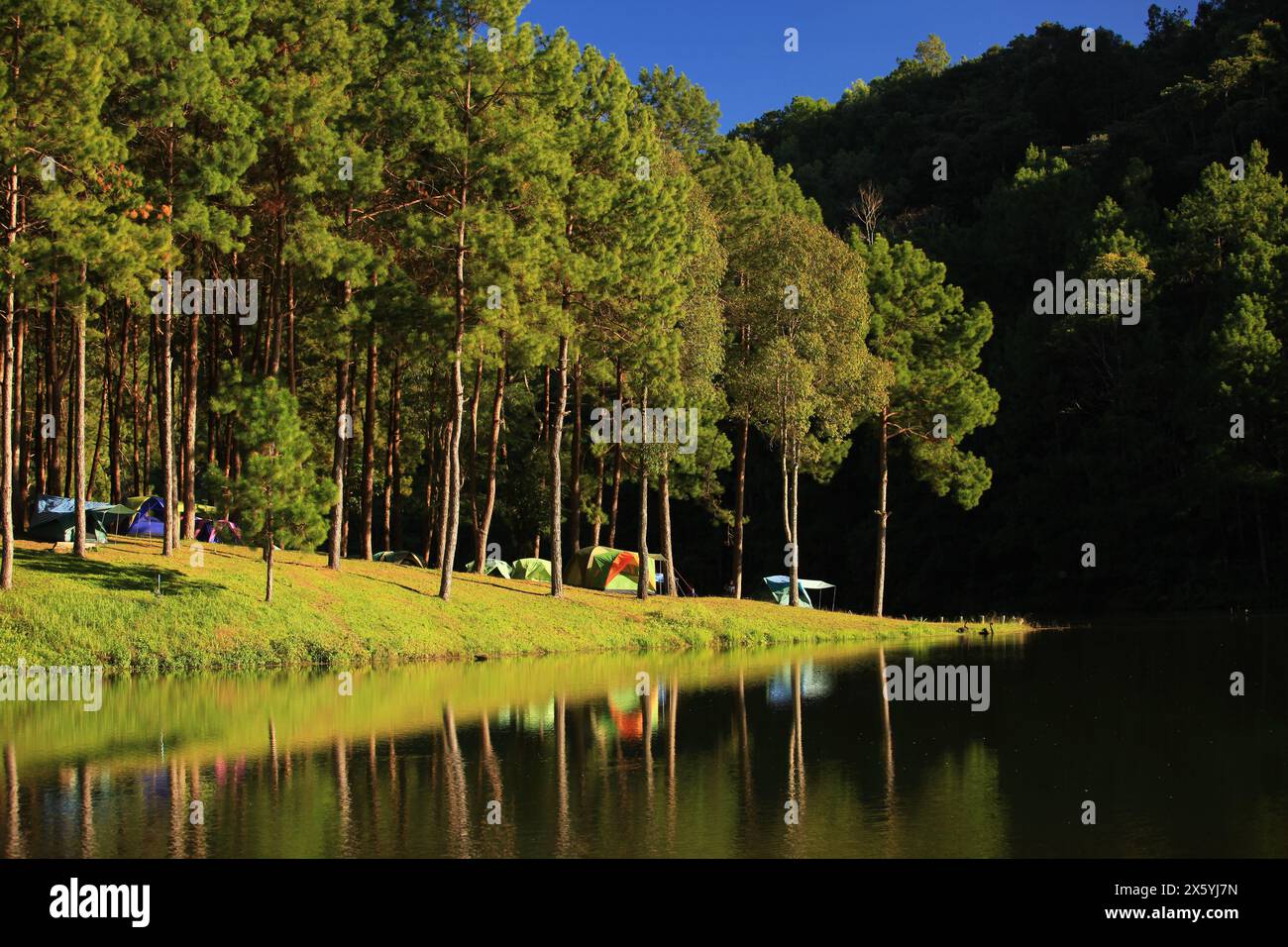 Die Vormittagslandschaft des Pang Ung Campground und des Huai Makhuea Som Reservoir ist ein beliebtes Reiseziel in der Provinz Mae Hong Son, Thailand Stockfoto