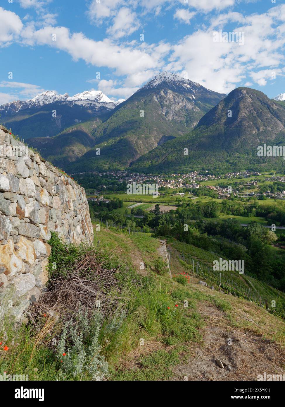 Les Granges organischer Weinberg mit Steinmauer in NUS mit Blick auf das Schloss Fenis unter schneebedeckten alpen. Aosta Valley, NW Itay. Mai 2024 Stockfoto