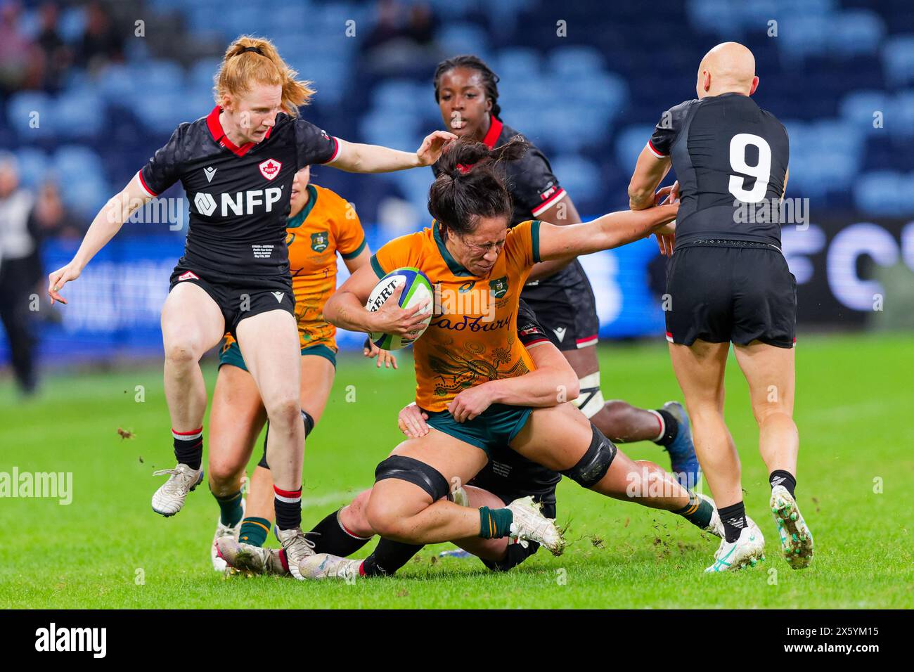 Sydney, Australien. Mai 2024. Siokapesi Palu (Australien) wird am 11. Mai 2024 im Allianz Stadium 2024 in Sydney (Australien) beim Spiel der Pacific Four Series zwischen den australischen Wallaroos und Kanada im Allianz Stadion ausgetragen. Credit: IOIO IMAGES/Alamy Live News Stockfoto Sydney, Australien. Mai 2024. Siokapesi Palu (Australien) wird am 11. Mai 2024 im Allianz Stadium 2024 in Sydney (Australien) beim Spiel der Pacific Four Series zwischen den australischen Wallaroos und Kanada im Allianz Stadion ausgetragen. Credit: IOIO IMAGES/Alamy Live News Stockfoto