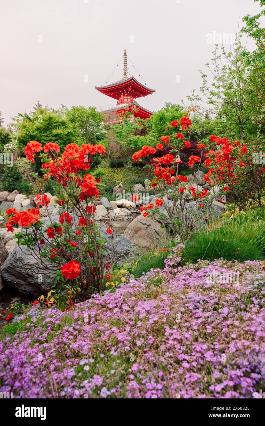 Wunderschöner japanischer Garten mit Blumen und buddhistischen Tempel im Krasnodar Park Stockfoto