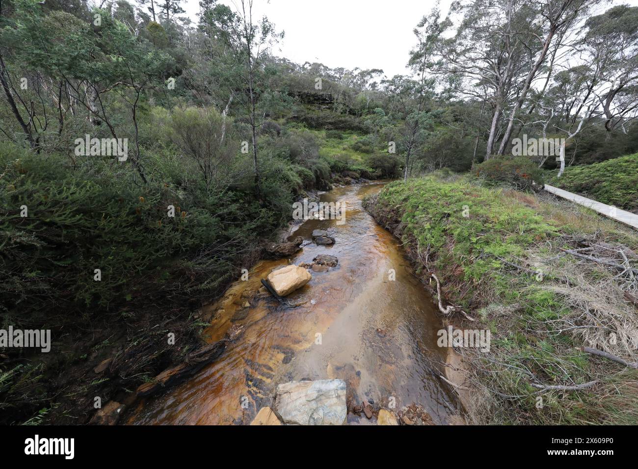 Darwins Walk neben dem Jamison Creek in den Wentworth Falls in den Blue Mountains nach einer Regenzeit im Herbst. Stockfoto