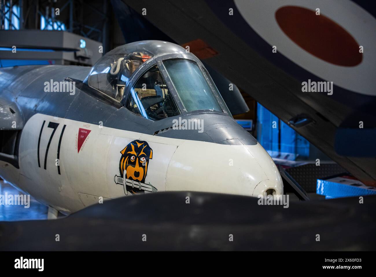Hawker Sea Hawk F2 ein Kampfflugzeug der Royal Navy in den Markierungen der 803 Naval Air Squadron, ausgestellt in East Fortune, East Lothian, Schottland Stockfoto
