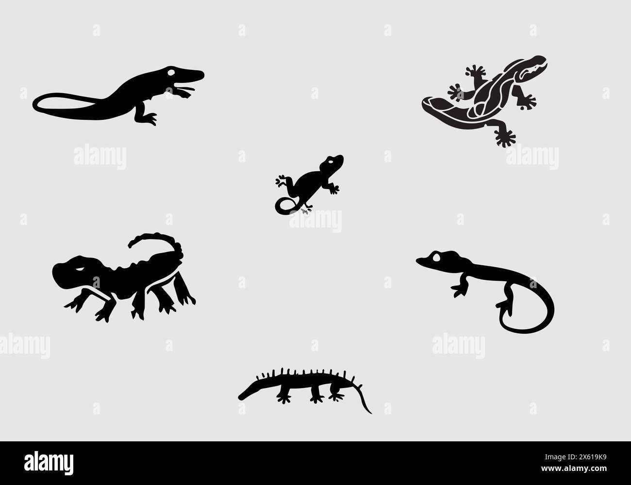 Minimales Design mit schwarzer Ikonen-Illustration von Caiman Lizard Stock Vektor