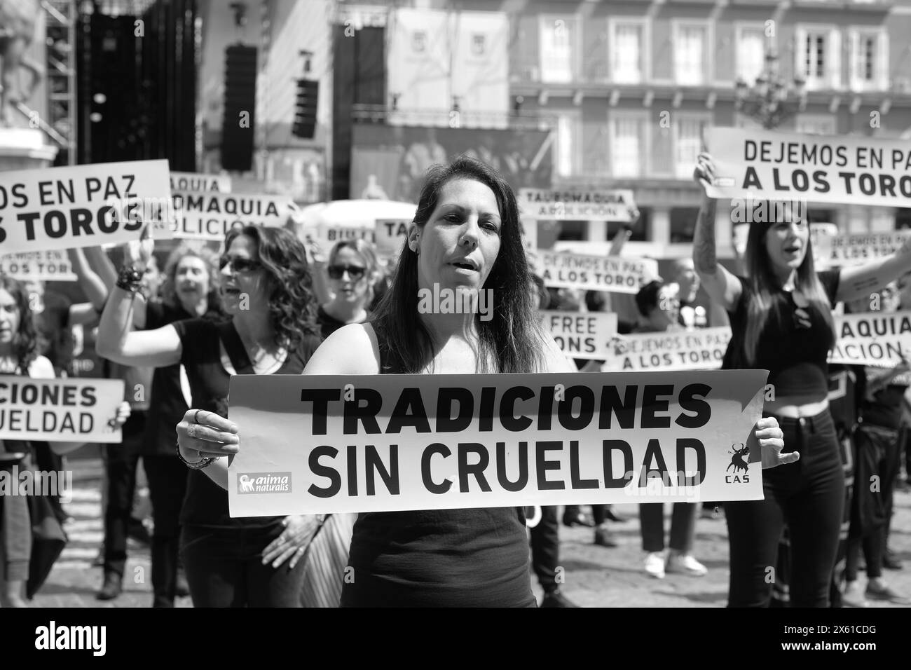 Demonstration gegen Stierkämpfe und Tiermissbrauch, die die Abschaffung der Stierkämpfe auf dem Hauptplatz von Madrid am 12. Mai 2024 in Spanien forderte Stockfoto
