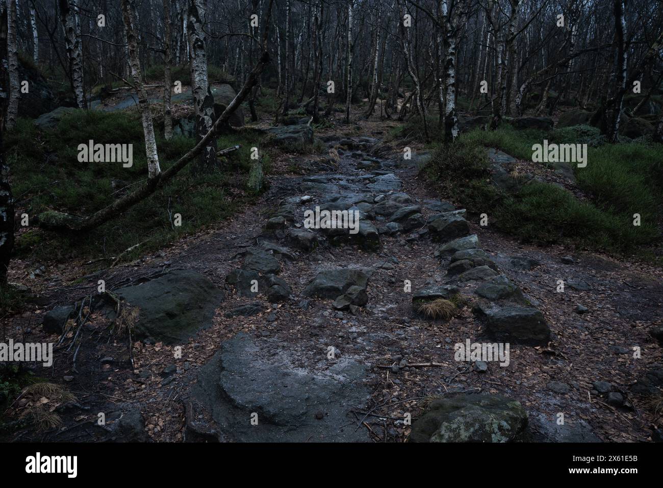 Düsterer und total stimmungsvoller Pfad verloren in den nebeligen Felsen mit der besten dunklen und mystischen Atmosphäre im Norden Böhmens. Stockfoto