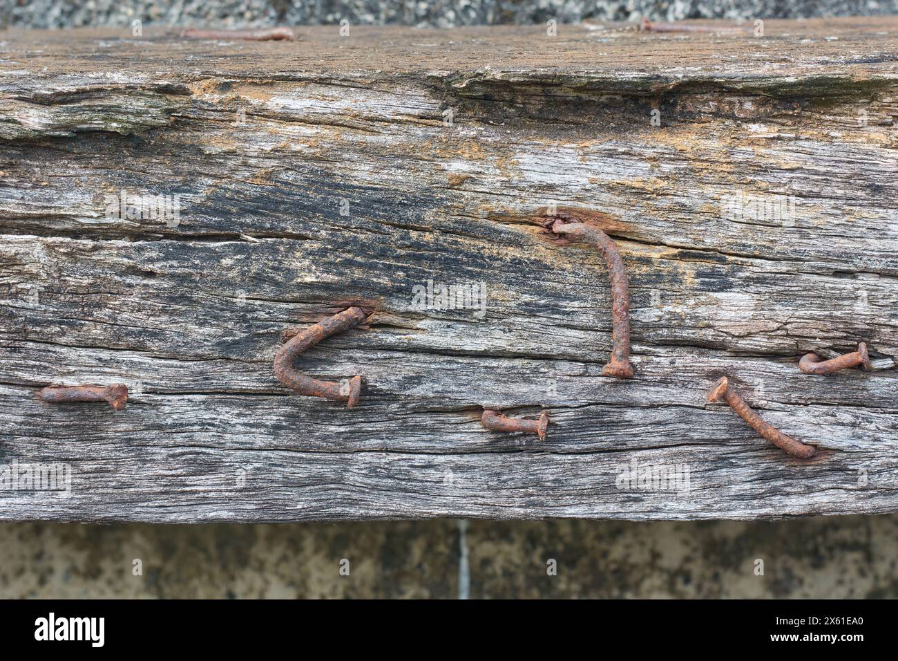 Nahaufnahme alter rostiger Nägel auf schmutziger Holzdiele, verwitterter Eisen- oder Stahlnägel, die Feuchtigkeit ausgesetzt sind und oxidiert sind, flache Lage mit Kopierraum Stockfoto