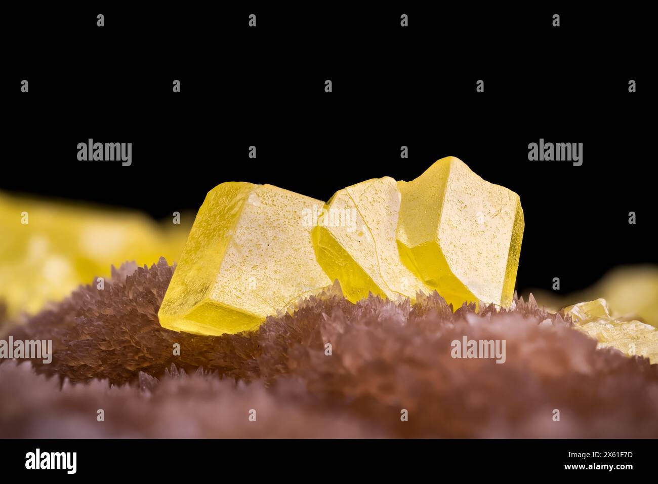 Gelber Schwefelkristall auf braunem Calcit. Makrofotografie Detail Textur Hintergrund. Nahaufnahme roher, unpolierter Halbedelstein Stockfoto