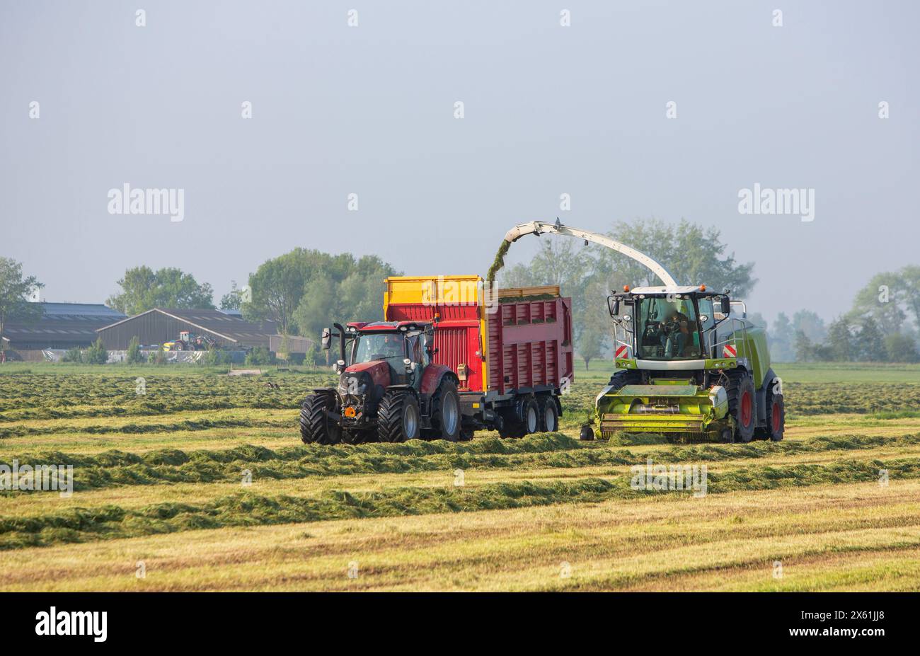 Große Maschine und Traktor mit Wagen für die Grasernte im Frühjahr in der Nähe von Leerdam in holland Stockfoto