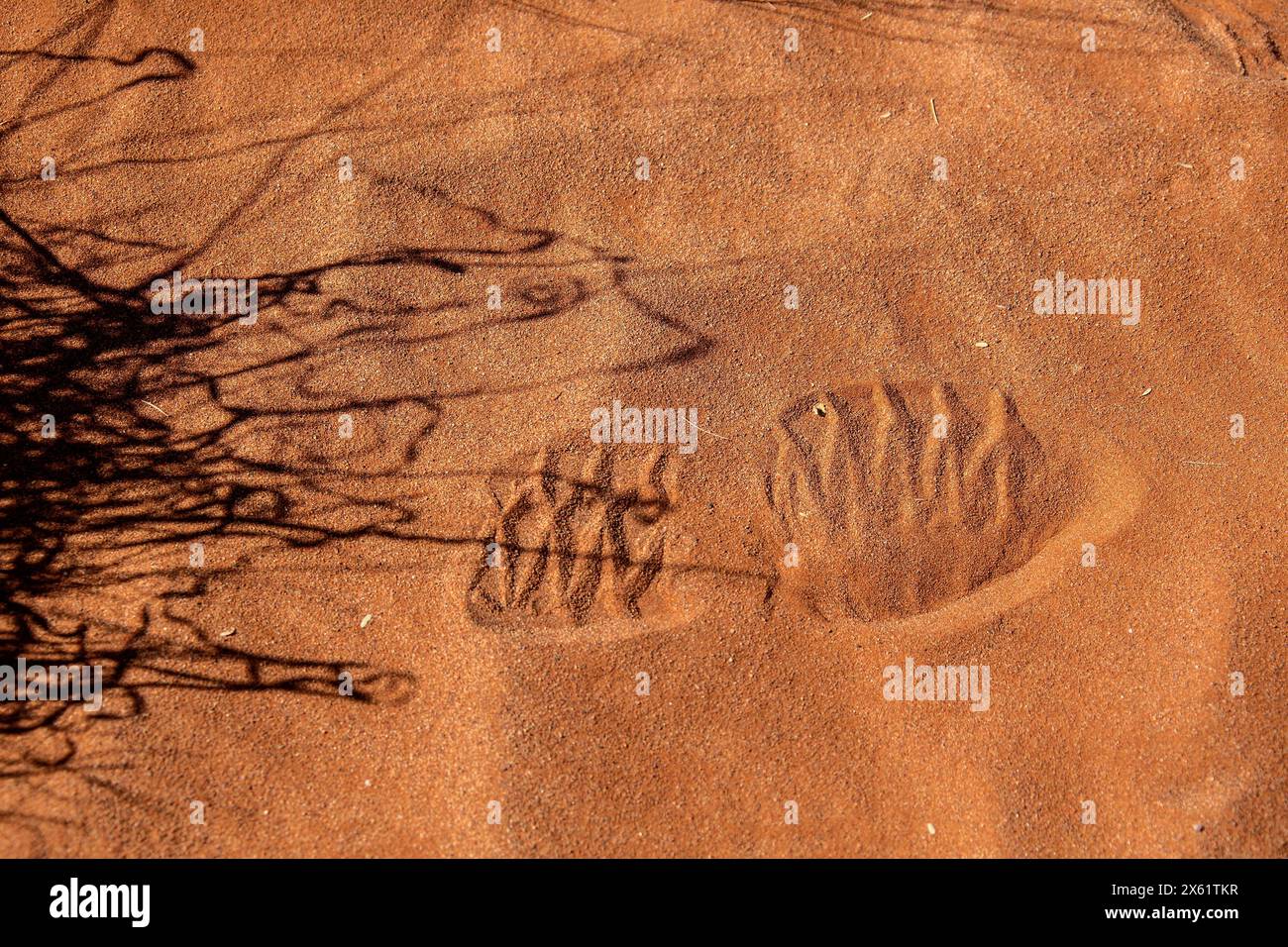 Schwarzer Schatten eines Grases und ein menschlicher Stiefeldruck auf dem leuchtend orangen Wüstensand in der Namib. Geeignet als Hintergrundbild. Stockfoto