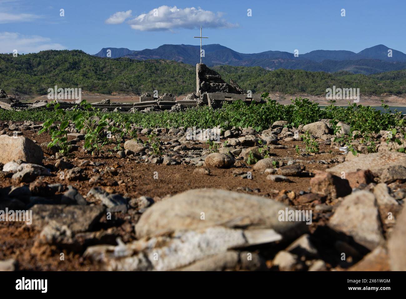 Pantabangan, Philippinen. 12. Mai 2024, Pantabangan, Pantabangan, Philippinen: Überreste der alten versunkenen Stadt Pantabangan sind an einem Stausee wieder aufgetaucht, als Folge einer schweren Dürre aufgrund der steigenden Temperaturen auf den Philippinen. Das sechste Wiederauftauchen dieser 300 Jahre alten Siedlung, die eine Kirche und mehrere Grabsteine umfasst, hat Touristen zu Besuch gezogen, nachdem der Wasserstand am Damm durch extreme Hitze abgenommen hat. verschärft durch die El-NiÃ±-o-Klimamuster, die zu einer Zunahme des Wetters in Asien und Südostasien beitragen. Quelle: ZUMA Press, Inc./Alamy Stockfoto
