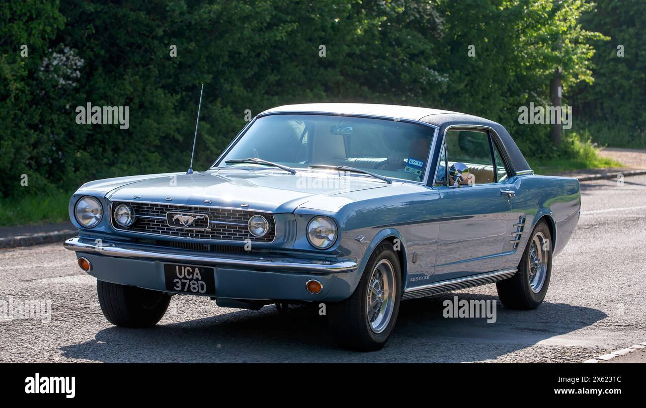 Stoke Goldington, Großbritannien - 12. Mai 2024:1966 Ford Mustang GT Oldtimer fährt auf einer britischen Straße Stockfoto