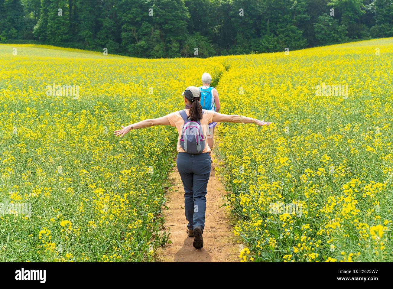 Kidderminster, Großbritannien. Mai 2024. Wetter in Großbritannien: Es ist ein weiterer glorreicher sonniger und warmer Start in den Tag, während die Spaziergänger die britische Landschaft in Blüte genießen. Die Temperaturen erreichen in den Midlands mit 25 Grad celsius ihren Höhepunkt, und gegen Ende des Tages kommen Regenschauer. Quelle: Lee Hudson/Alamy Live News Stockfoto