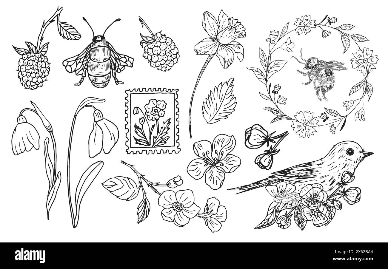 Vektorset mit blühenden Zweigen, Blumen, Beeren, Vogel, Kranz und Bienen. Botanische handgezeichnete grafische Skizze für Postkarten, Einladungen, Tattoos Stock Vektor