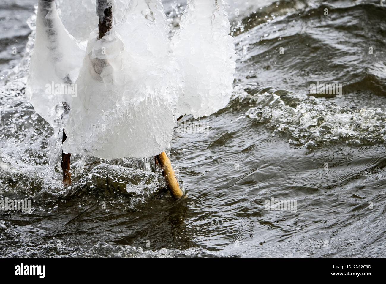 Eiskaltes fließendes Wasser am Ufer des St. Lawrence River im Winter. Stockfoto